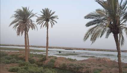 بالصور...الطبيعة في أهوار الفهود في ذي قار العراقية