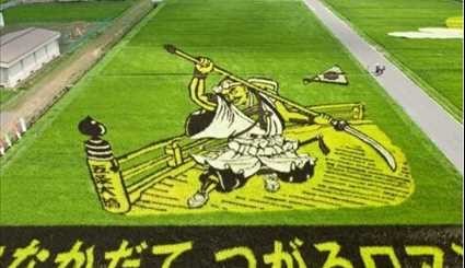 اليابانيون يبدعون لوحات فنية في حقول الارز