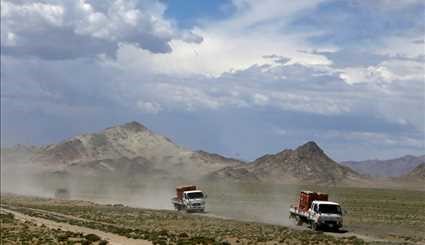 Wild horses return to Mongolia's steppes