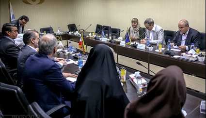 جلسه گروه کاری تحقیق و توسعه علوم هسته‌ای ایران و اروپا/ تصاویر