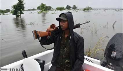 India / Flood in Casiranga National Park