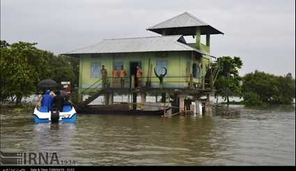 India / Flood in Casiranga National Park