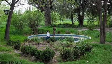 The historical Saeedi Garden locates in the city of Nishapur; Iran