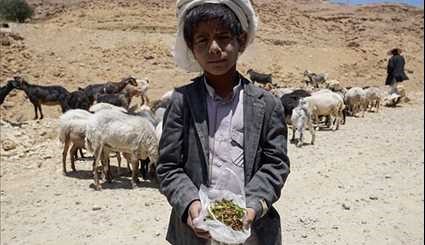 Yemen's Children Face Triple Crises