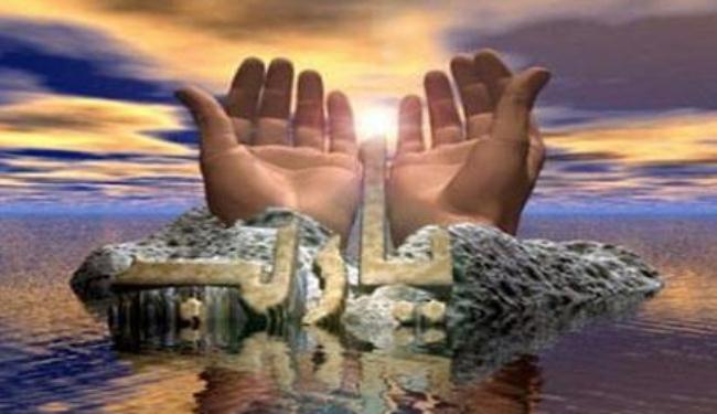 الدور التكاملي للعبادة في حياة الإنسان