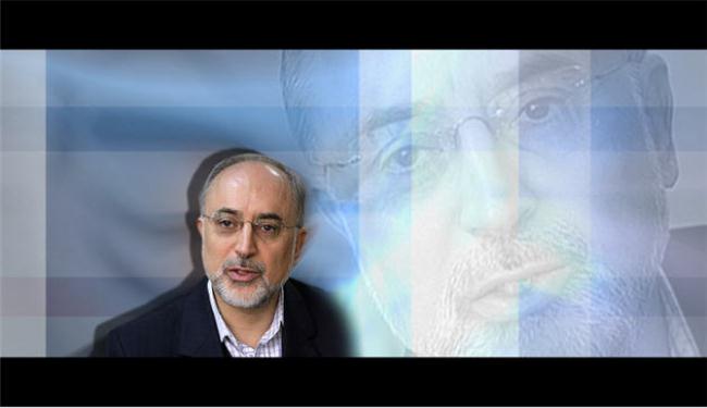 صالحي: إيران قوة مطلقة في العالم الإسلامي