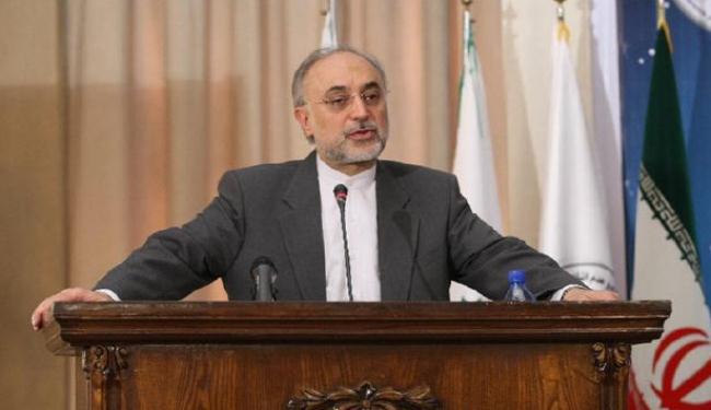 صالحي: حظر سفر مسؤولين ايرانيين اجراء عبثي