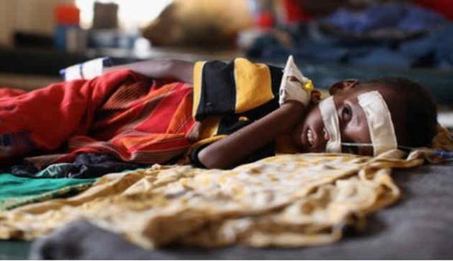 ارتفاع أسعار الغذاء ساهم في مجاعة إفريقيا