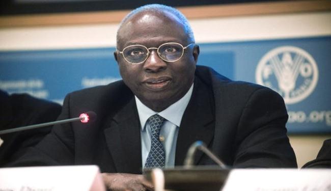 انطلاق اجتماع الفاو لمواجهة المجاعة بالقرن الأفريقي