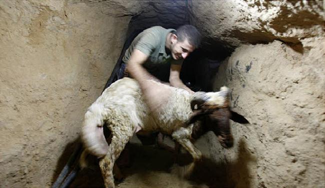 مصر تبدأ تدمير الأنفاق على طول الحدود مع غزة