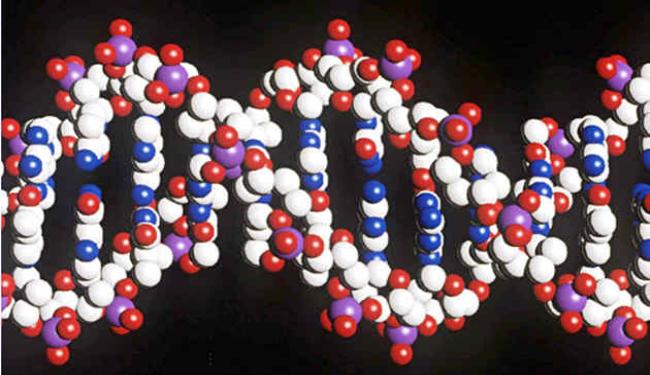 ايران اول بلد في الشرق الاوسط ينشئ بنكا للجينات