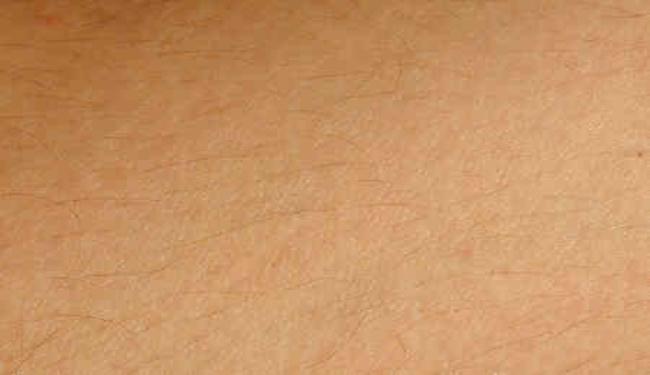 شعيرات جلد الإنسان تحميه من الطفيليات