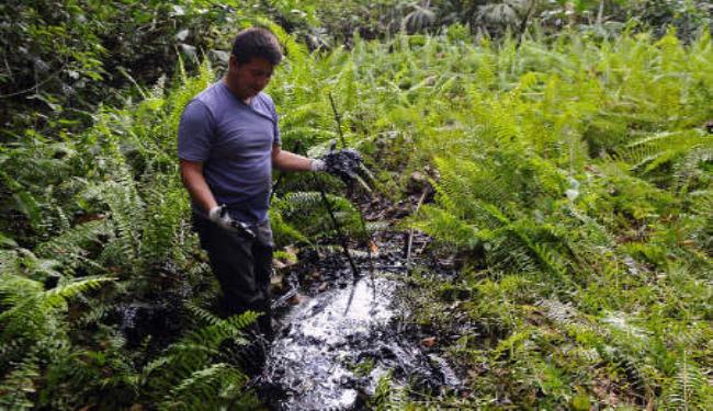 تغريم شركة أمريكية بـ 18 مليار دولار لتدميرها غابات الأمازون