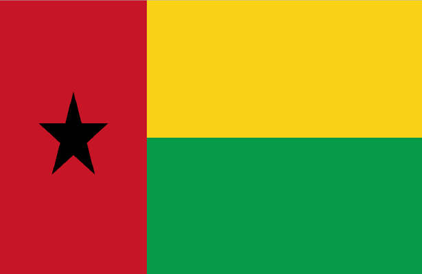 درگذشت رئیس جمهور گینه بیسائو