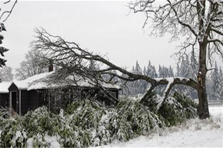 سرماي مرگبار قطبي در اروپا