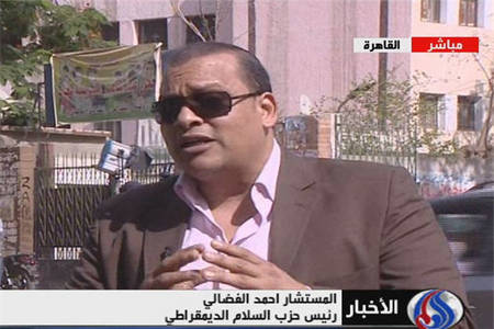 رضایت حزب صلح دمکراتیک از انتخابات مصر