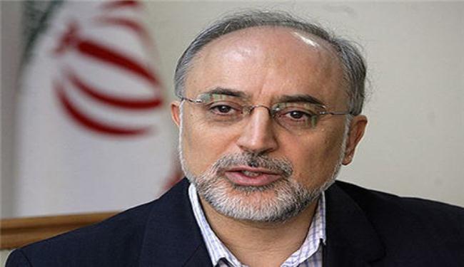 صالحي يؤكد اهمية موقع ايران في مجال الترانزيت