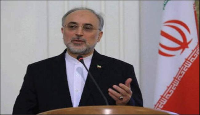 صالحي: الرئيس الاسد عين مندوبا عنه للحوار مع المعارضة