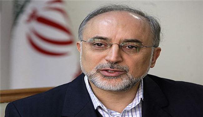 صالحي: الشعب الايراني لن يستسلم للضغوط