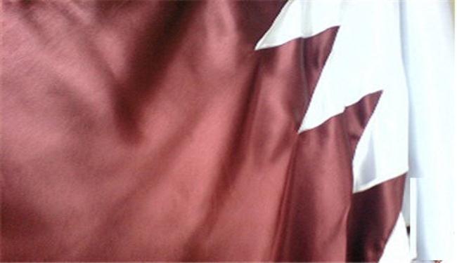 مسؤول قطري مهم يطلب اللجوء إلى فنزويلا