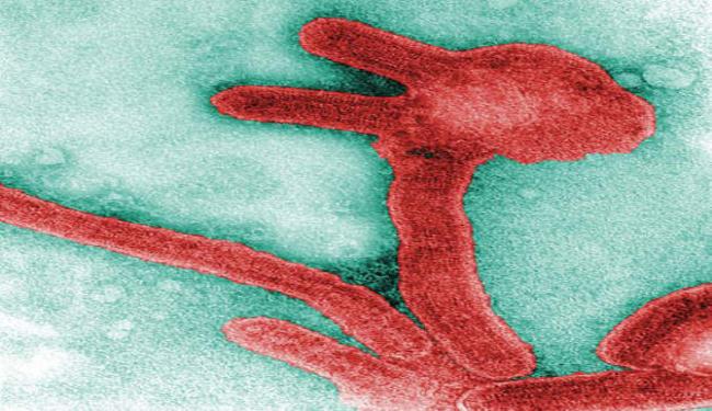 فيروس الايبولا يقتل 13 شخصا في اوغندا