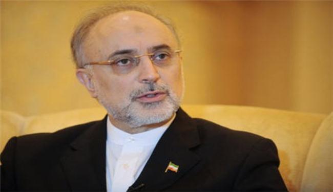 صالحي: ايران الرائدة بطرح قضية المسلمين بميانمار