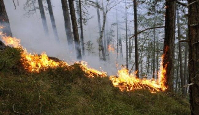 صربيا تجلي الالاف بسبب حرائق الغابات
