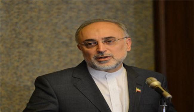 صالحي يؤكد أن العلاقات الايرانية المصرية في تحسن