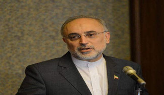 صالحي يشن هجوماً ضد الكيان الصهيوني على التلفزيون المصري