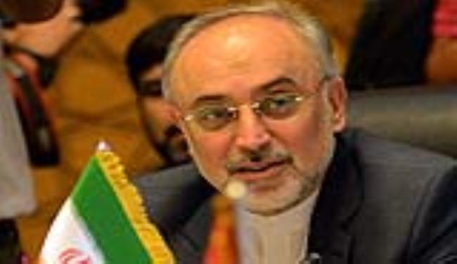 صالحي يجري مباحثات مع رئيس الصليب الاحمر الدولي بنيويورك