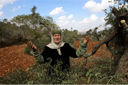 حمله صهيونيست ها به کشاورزان فلسطینی