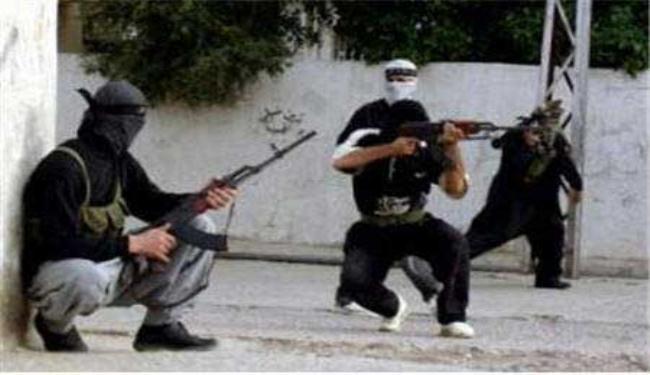 القاعدة، من سجون دول عربية الى القتال في سوريا