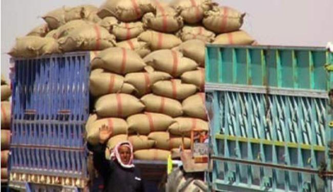 مسلحون يسرقون قمح الصوامع بسوريا ويبيعونه لتركيا 