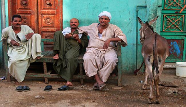ربع المصريين فقراء وأعلى نسبة في أسيوط