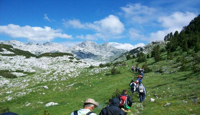 المشي مرتبط بتراجع خطر الاصابة بالسكتة الدماغية