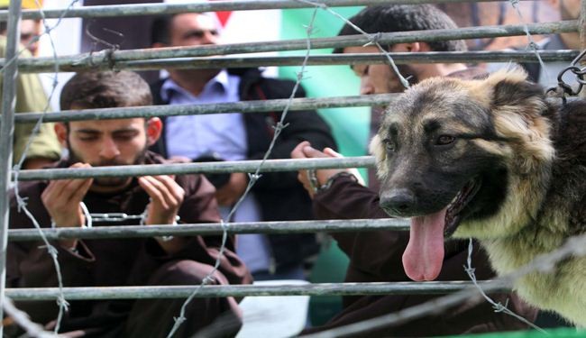 مسيرات بغزة تطالب بتحرك دولي لإنقاذ الأسرى