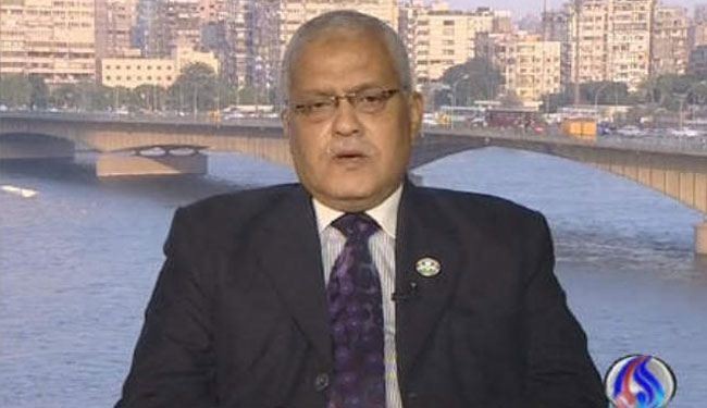 سياسي مصري: إثارة الفوضى هدف المعارضة