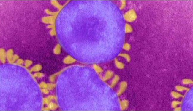 فيروس كورونا تسبب في 30 وفاة بالعالم