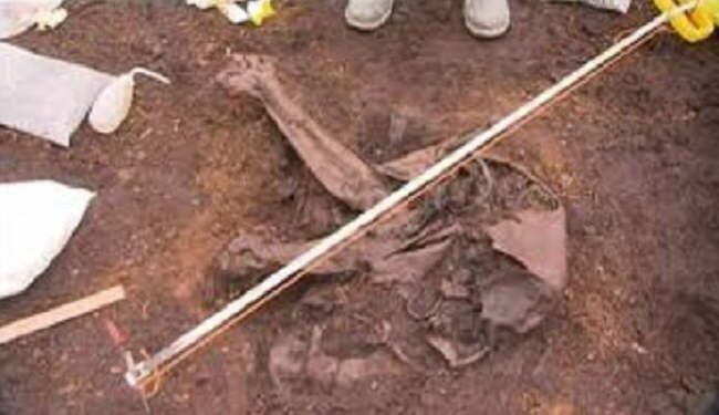 العثور على مومياء أيرلندية أقدم من توت عنخ آمون بـ 700 عاما
