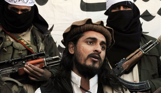 طالبان پاکستان مرگ رهبر خود را تایید کرد