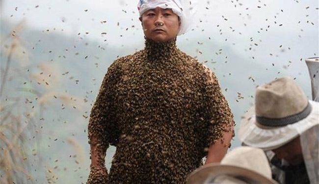 بالصور.. لترويج بيع العسل، يغطي نفسه بنصف مليون نحلة
