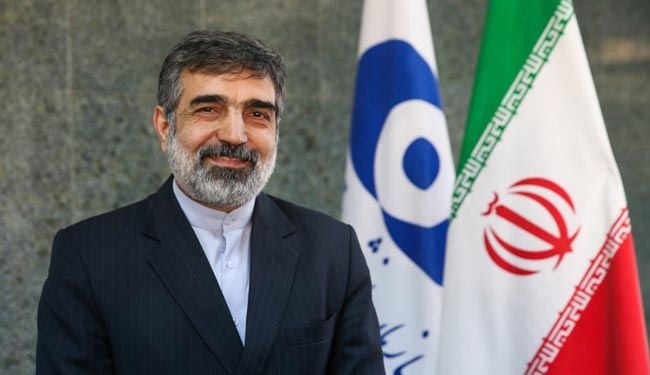 رئيس مفتشي الوکالة الذرية في طهران الاسبوع القادم