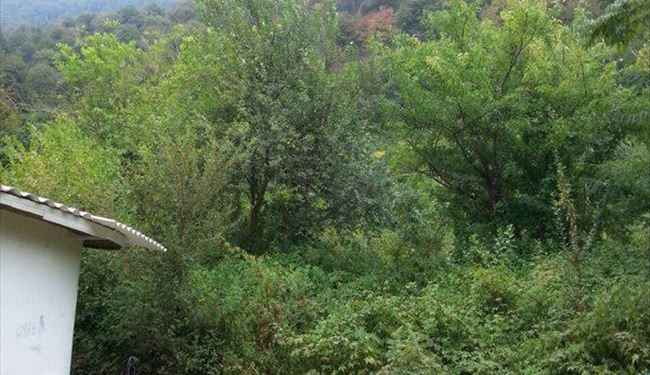 هذا المكان بجالوس شمال ايران اسمه نمك ابرود