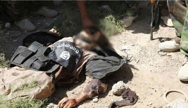 هلاکت 41 داعشی در مناطق مختلف الانبار