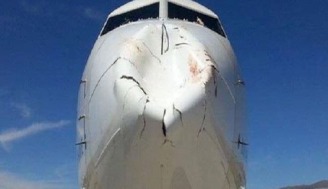 عکس؛ وقتی پرنده به هواپیما برخورد می‌کند