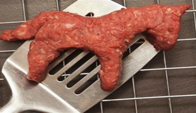 7 علامات فى جسدك تؤكد لك اذا كنت تناولت لحم الحمير من قبل ام لا!