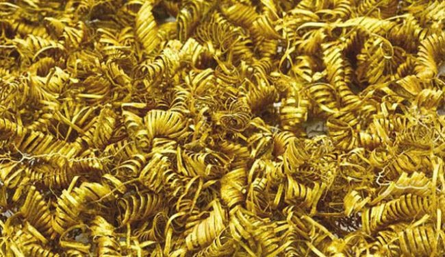 العثور على 2000 حلزون غامض من الذهب بالدنمارك