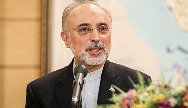 صالحي يعلن زيارة مرتقبة لامانو إلى طهران