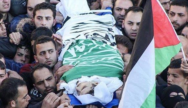 ثلاثة شهداء وعشرات الجرحى بالضفة وغزة