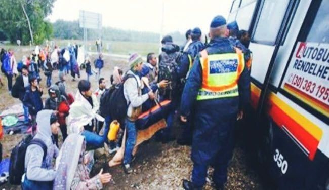 حمله افراطیون آلمان به پناه‌جویان خارجی